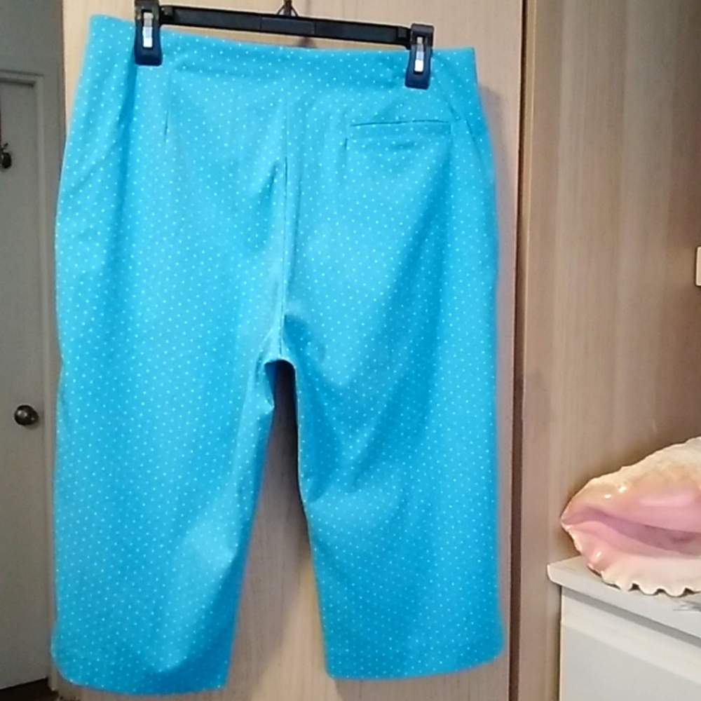 Tail Capri Sz 10 - image 4